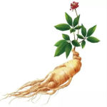 Ginsenoside Re （别名：人参皂苷 Re）